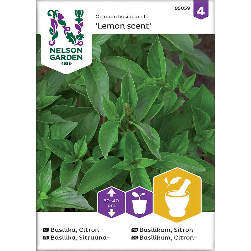 Nelson garden Frø Basilikum Sitron-, Lemon scent