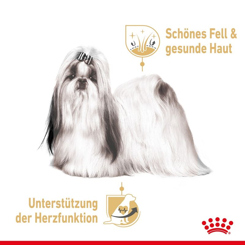 Royal Canin Shih Tzu Adult Mousse