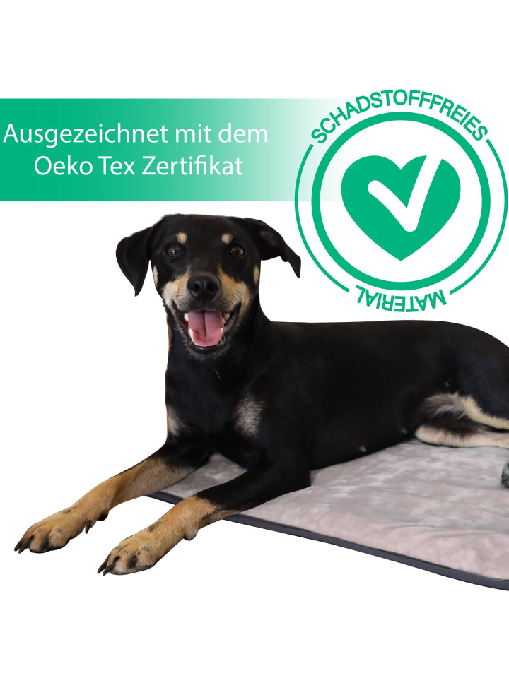 Aspero Hundedecke Lund in Beige günstig kaufen