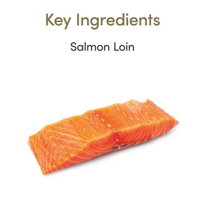 Applaws Cat Loin Lachs