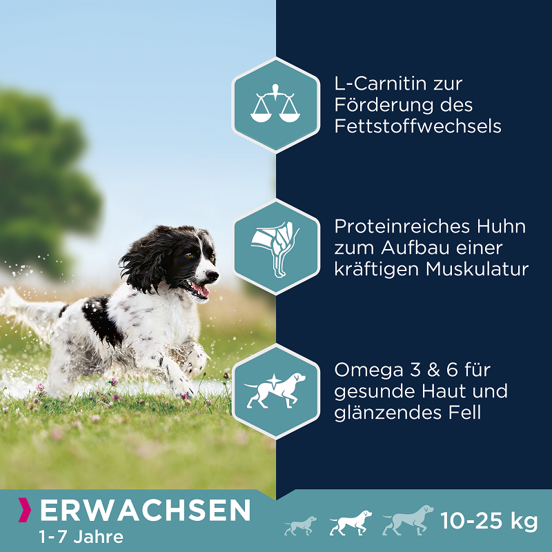 EUKANUBA Hundetrockenfutter EUKANUBA Active Adult Medium Breed mit Huhn 3 kg
