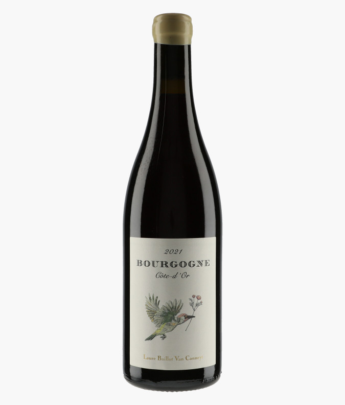 Bourgogne Côte d'Or 2021BAILLOT VAN CANNEYT LAURE