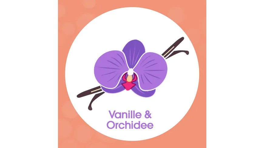Sagrotan Samtschaum Seife Vanille&Orchidee 250 ml 250 ml