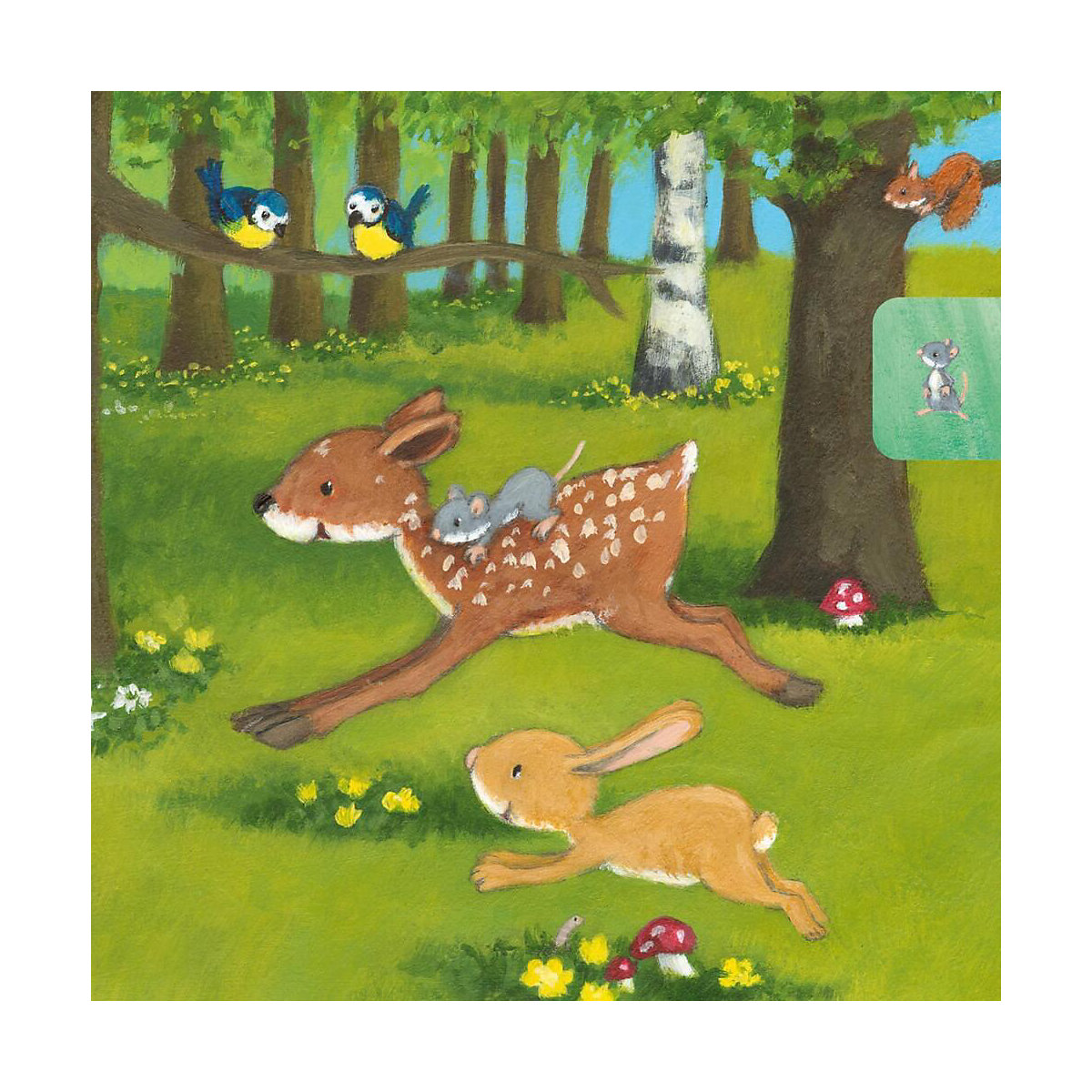 Baby Pixi (unkaputtbar) 97: Der kleine Hase