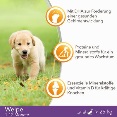 IAMS for Vitality Dog Puppy & Junior Large Huhn