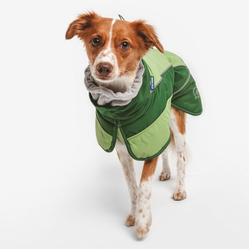 Nomad Tales Bloom Hundemantel Lush zu TOP-Preisen