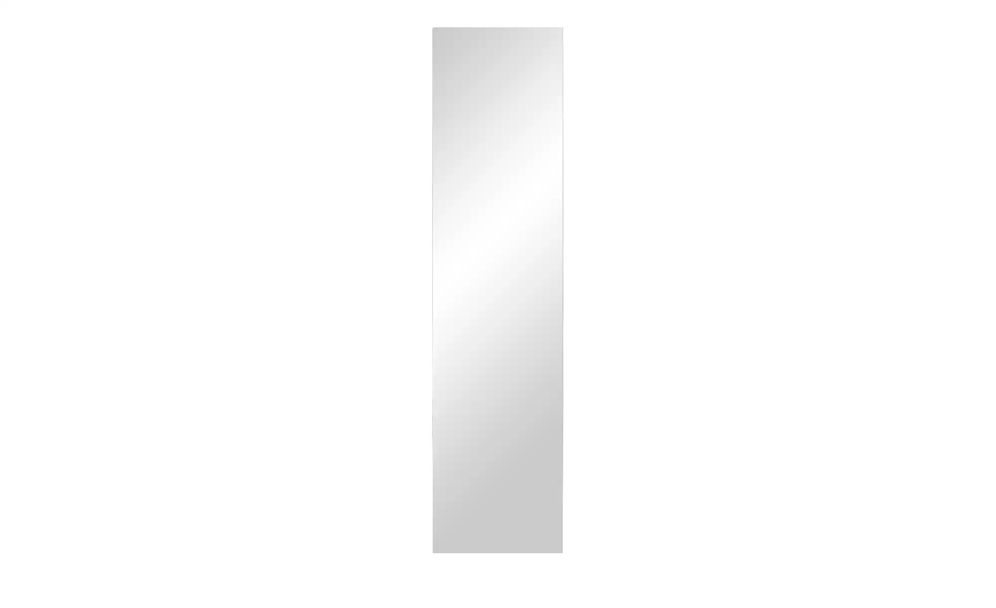 Spiegel 42 x 170 cm