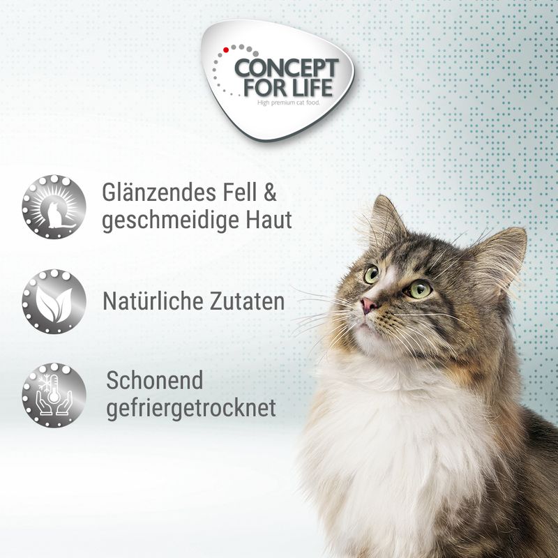 Concept for Life Beauty Cubes zu TOP-Preisen