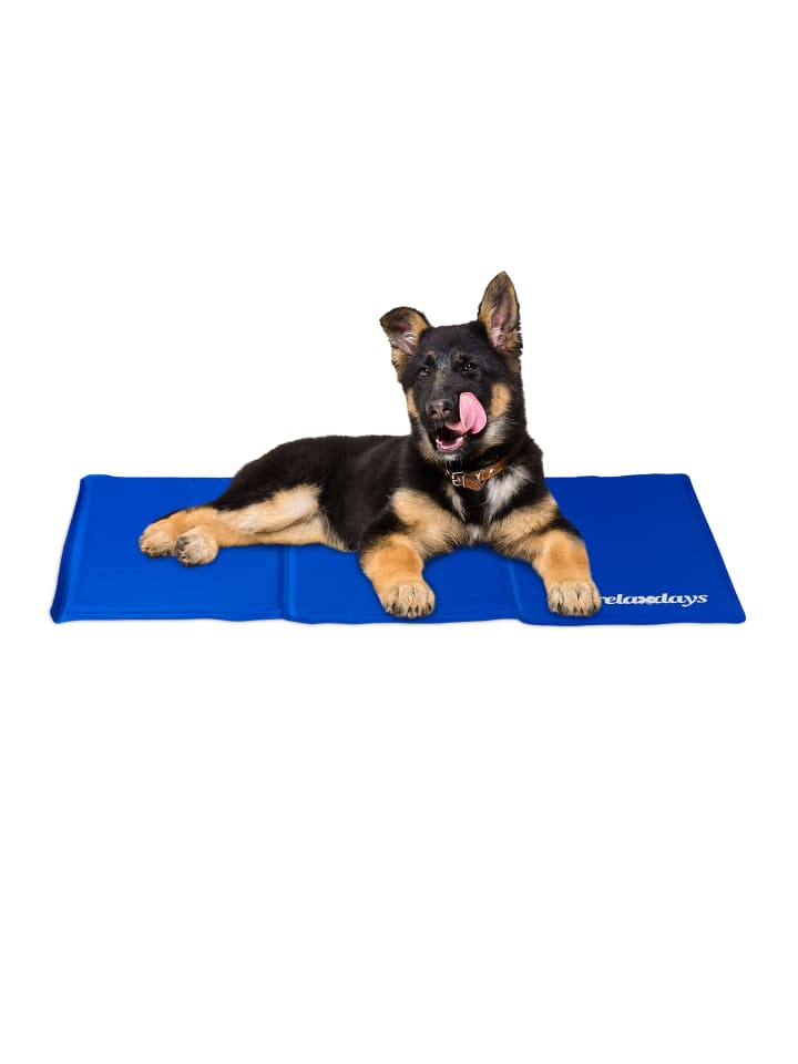 relaxdays Kühlmatte Hund in Blau - (B)50 x (T)90 cm günstig kaufen onesize