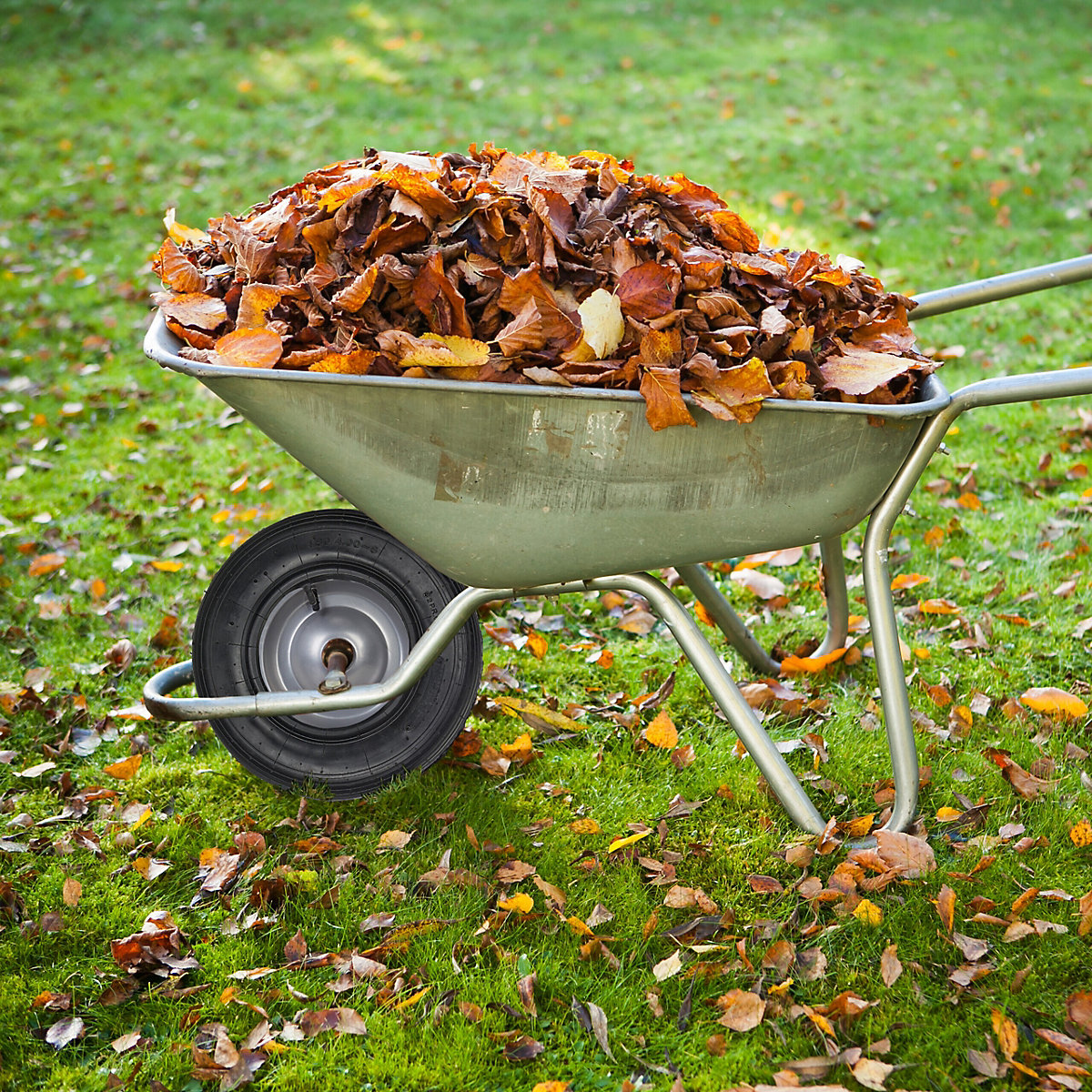 Schubkarrenrad mit Schlauch