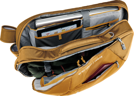 AViANT Carry On 28