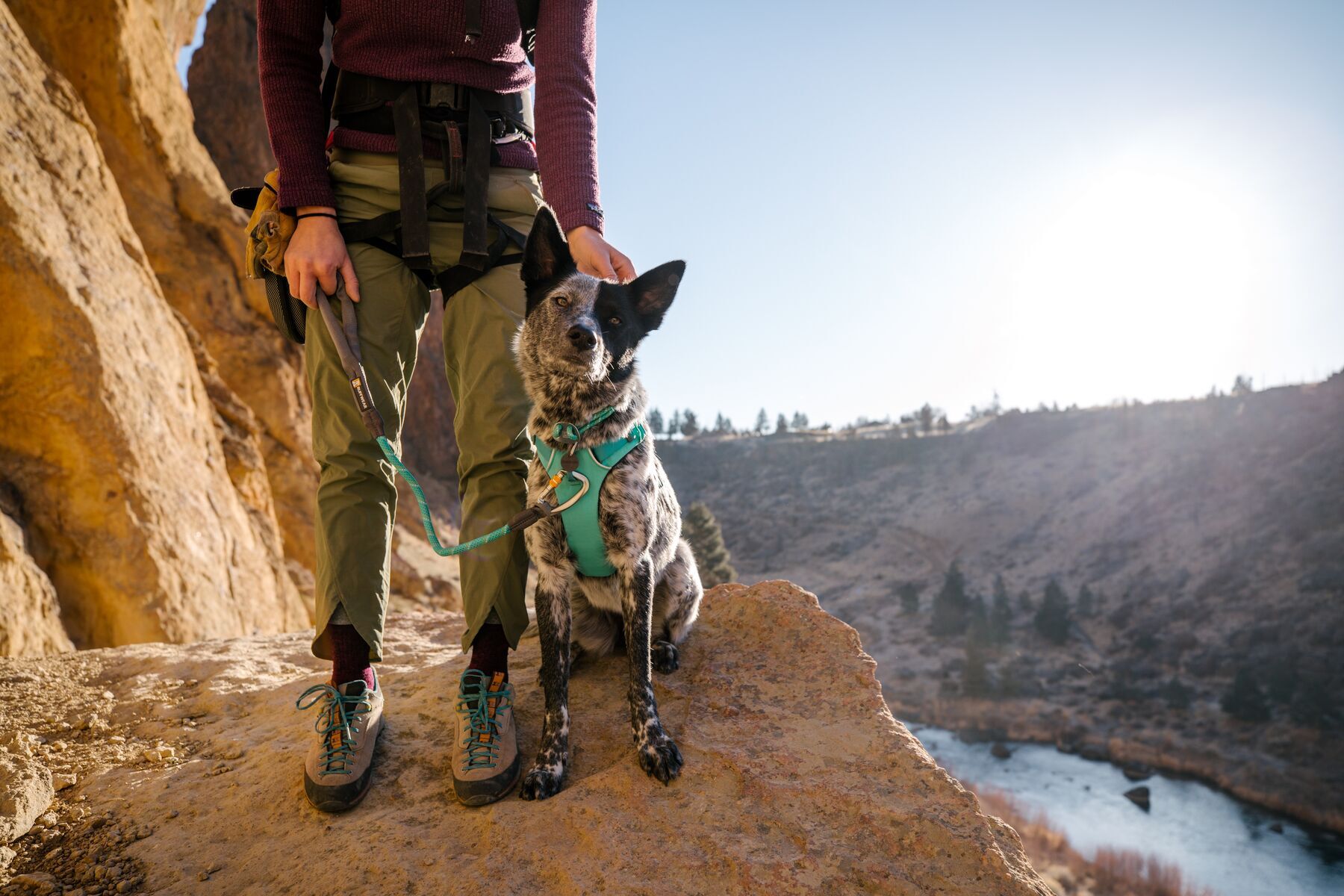 Ruffwear Hundegeschirre Ruffwear Geschirr Front Range türkis L-XL