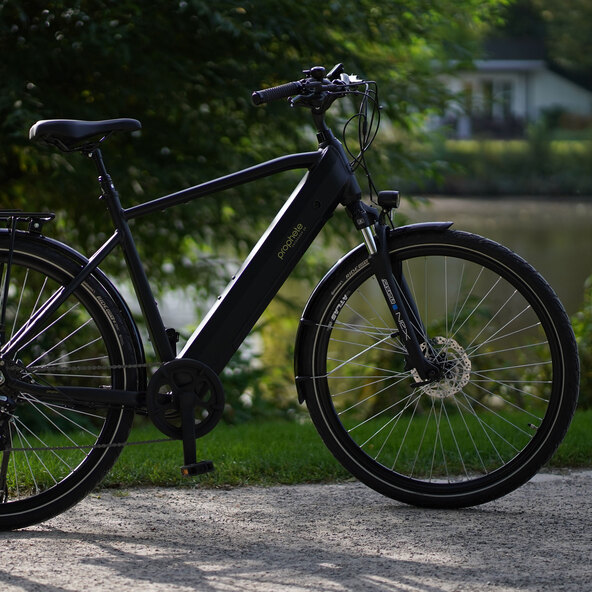 Trekking E-Bike Entdecker 2.0, Herren