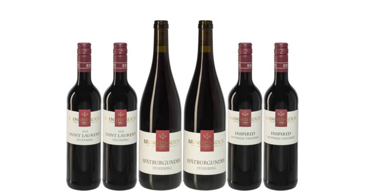 H1: Rotes für den Alltag von Weingut Brenneis-Koch günstig bei wein.de kaufen