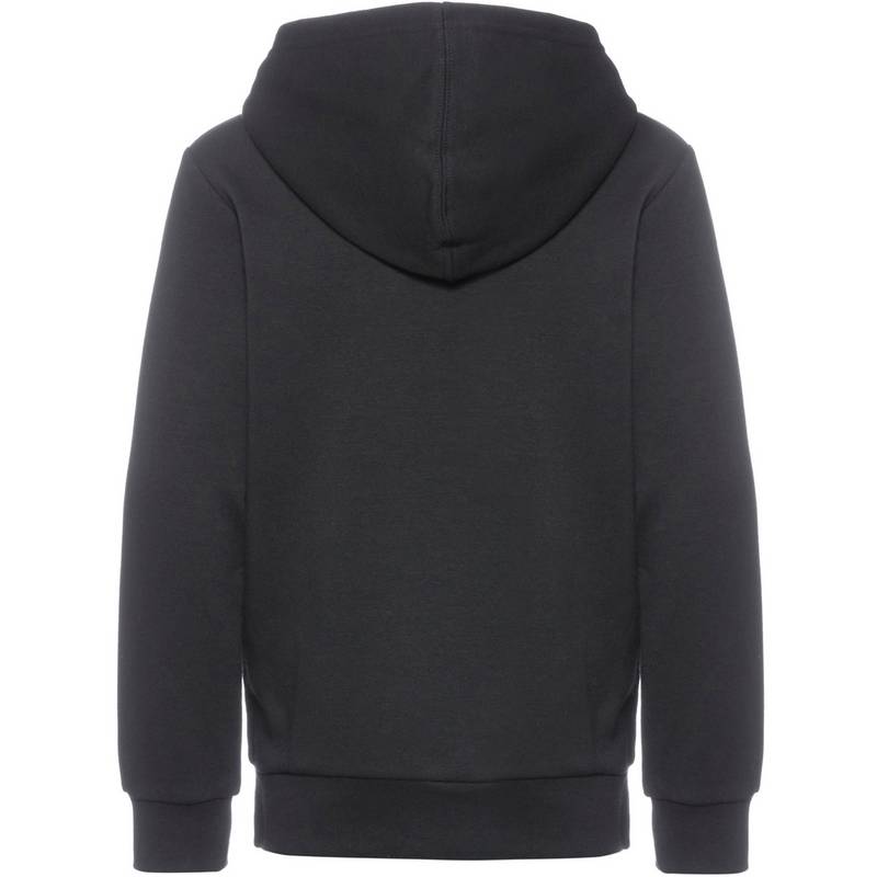 CHAMPION LEGACY AMERICAN CLASSICS Hoodie Jungen