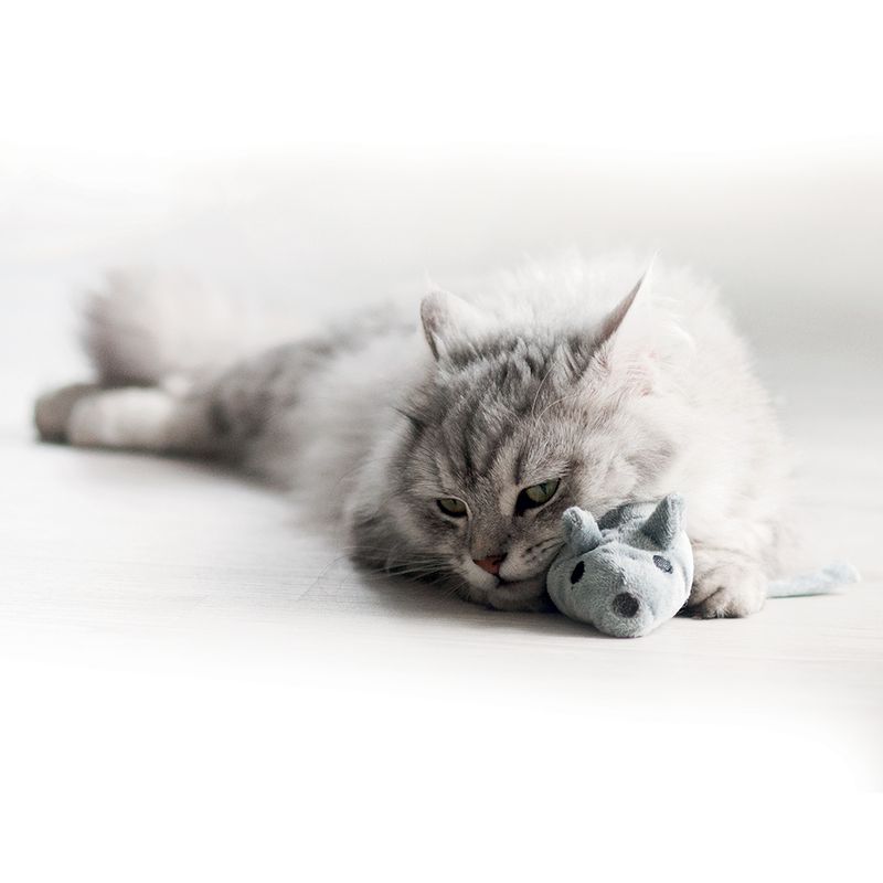 Aumüller Katzenspielzeug Baldi-Maus zu TOP-Preisen