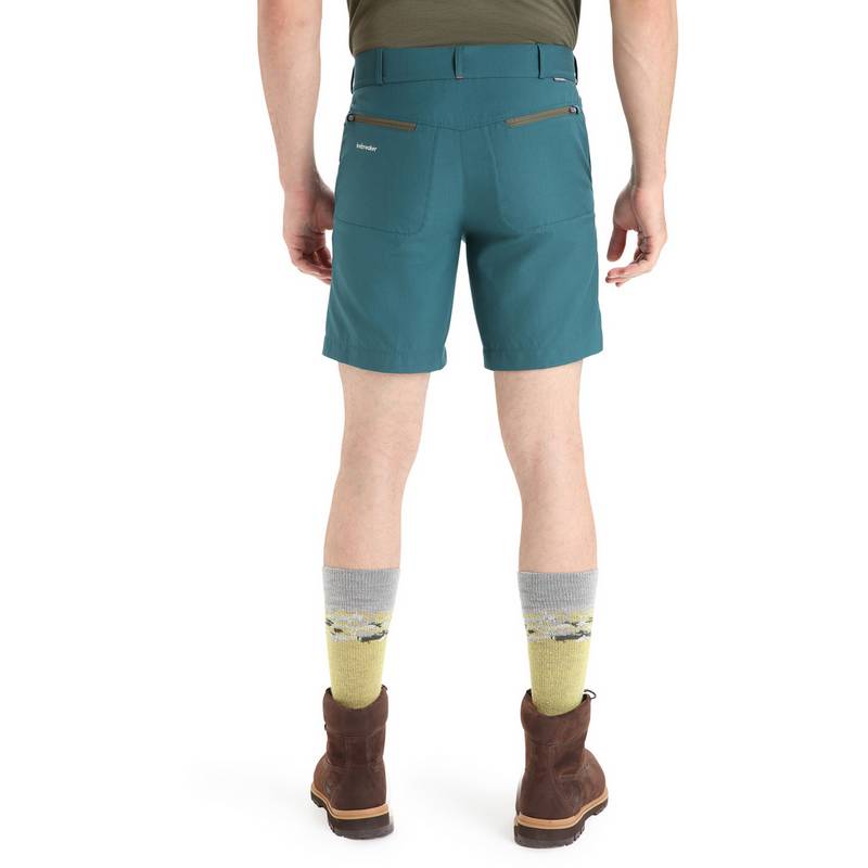 Icebreaker HIKE Funktionsshorts Herren