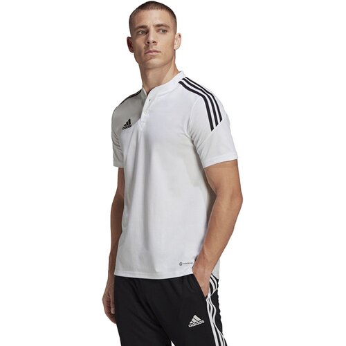 HERREN POLO CONDIVO 22 (NORMAL & LANG)