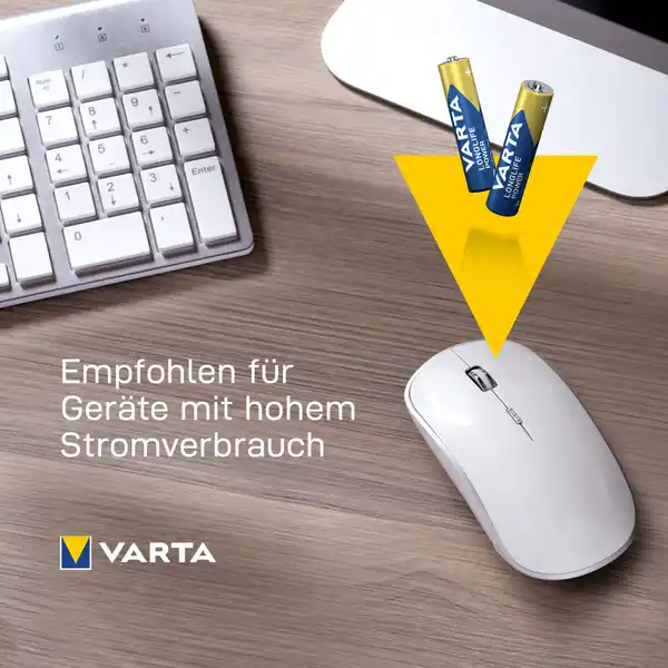 Longlife Power AAA Batterien