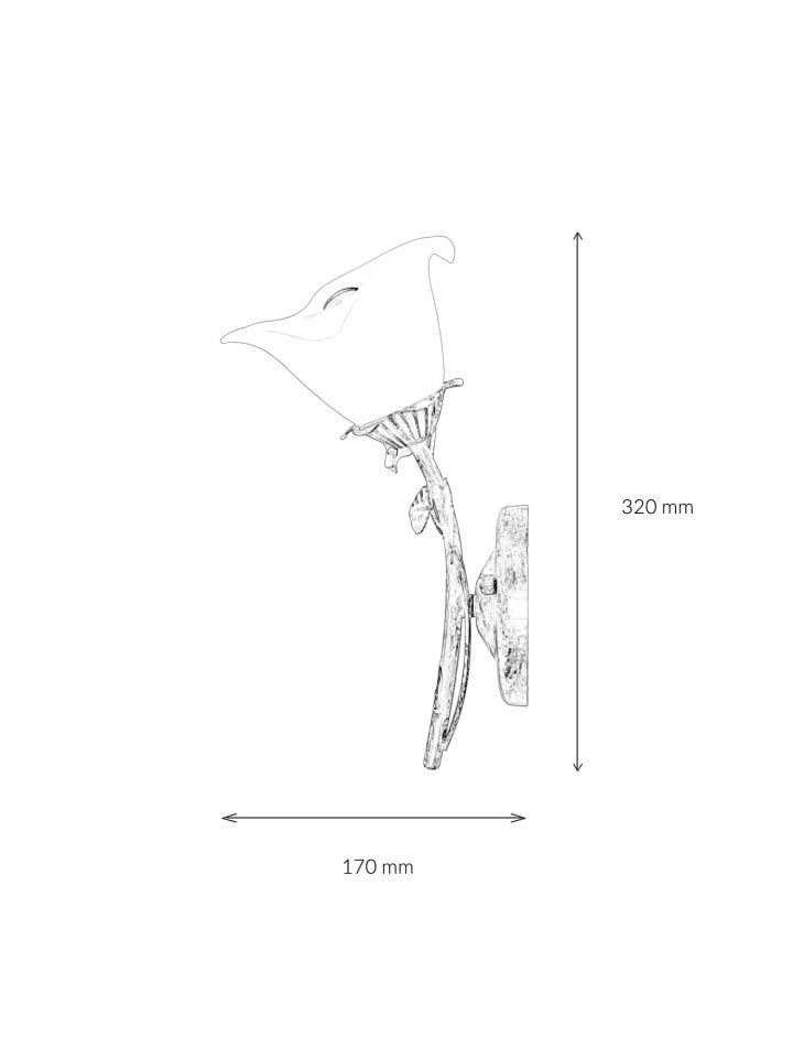 Licht-Erlebnisse Wandlampe in Creme Weiß günstig kaufen onesize