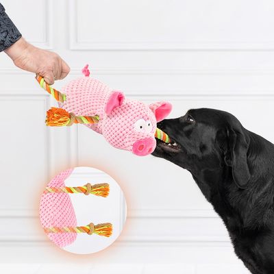 Doglove Hundespielzeug Schwein