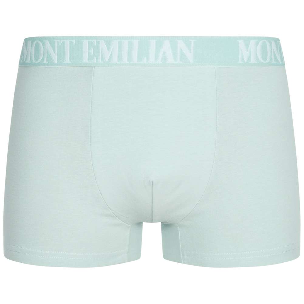 MONT EMILIAN 