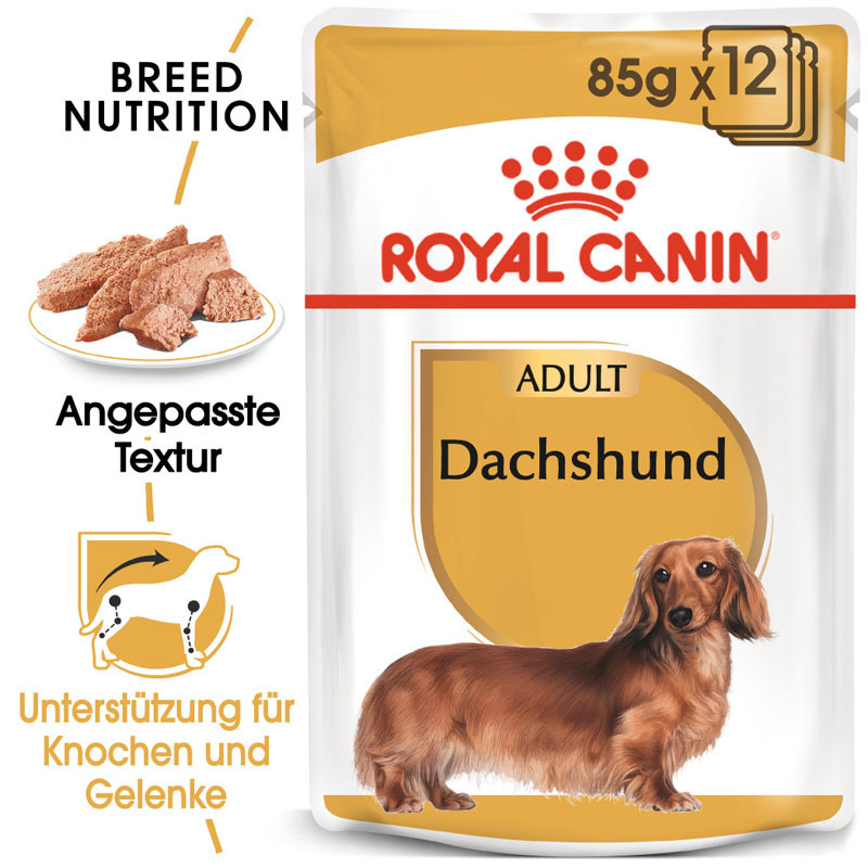 ROYAL CANIN Hundenassfutter ROYAL CANIN Dachshund Adult Mousse 12x85g