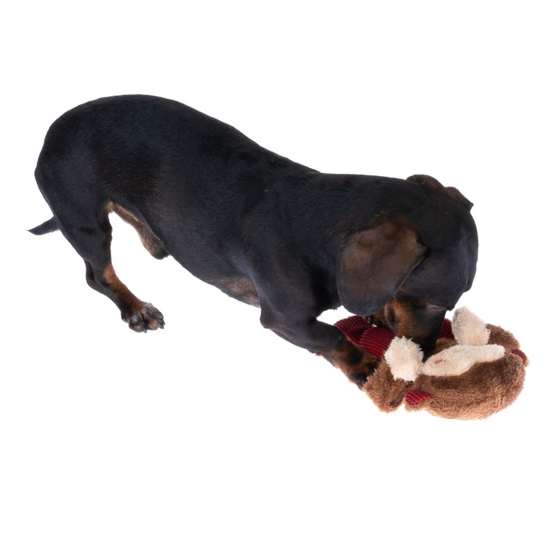 TIAKI Winkie Monkey Hundespielzeug zu TOP-Preisen