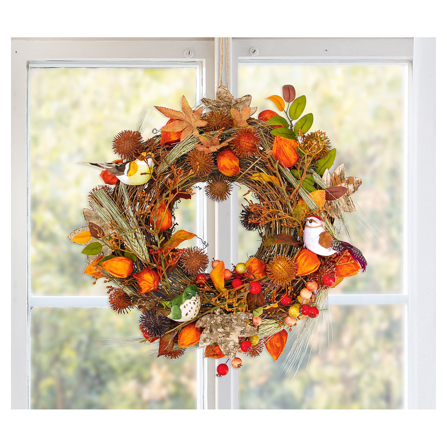 Deko-Physalis, 24 Stück