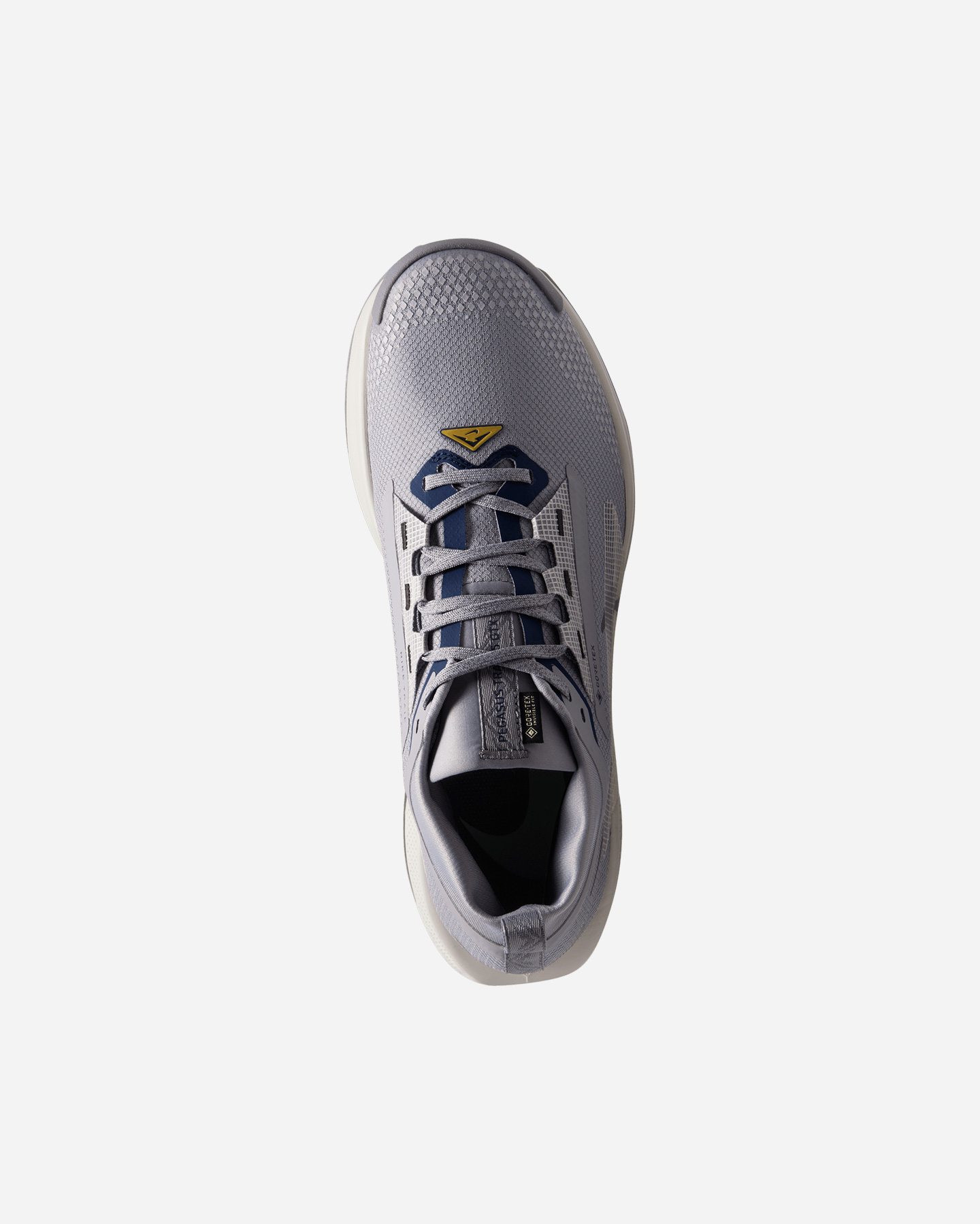 Scarpe Trail Nike Pegasus Trail 5 Gore Tex M FQ0908-006