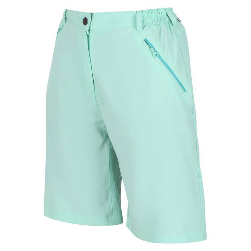 Regatta Xert It Shorts Damen