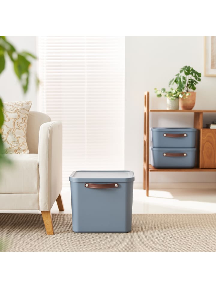 Rotho Aufbewahrungsbox mit Deckel 40 l MALOJA in Misty blau günstig kaufen onesize