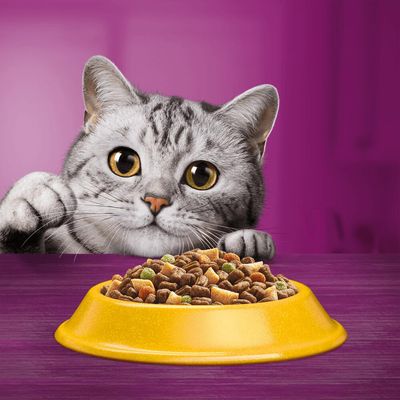 Whiskas 1+ Huhn