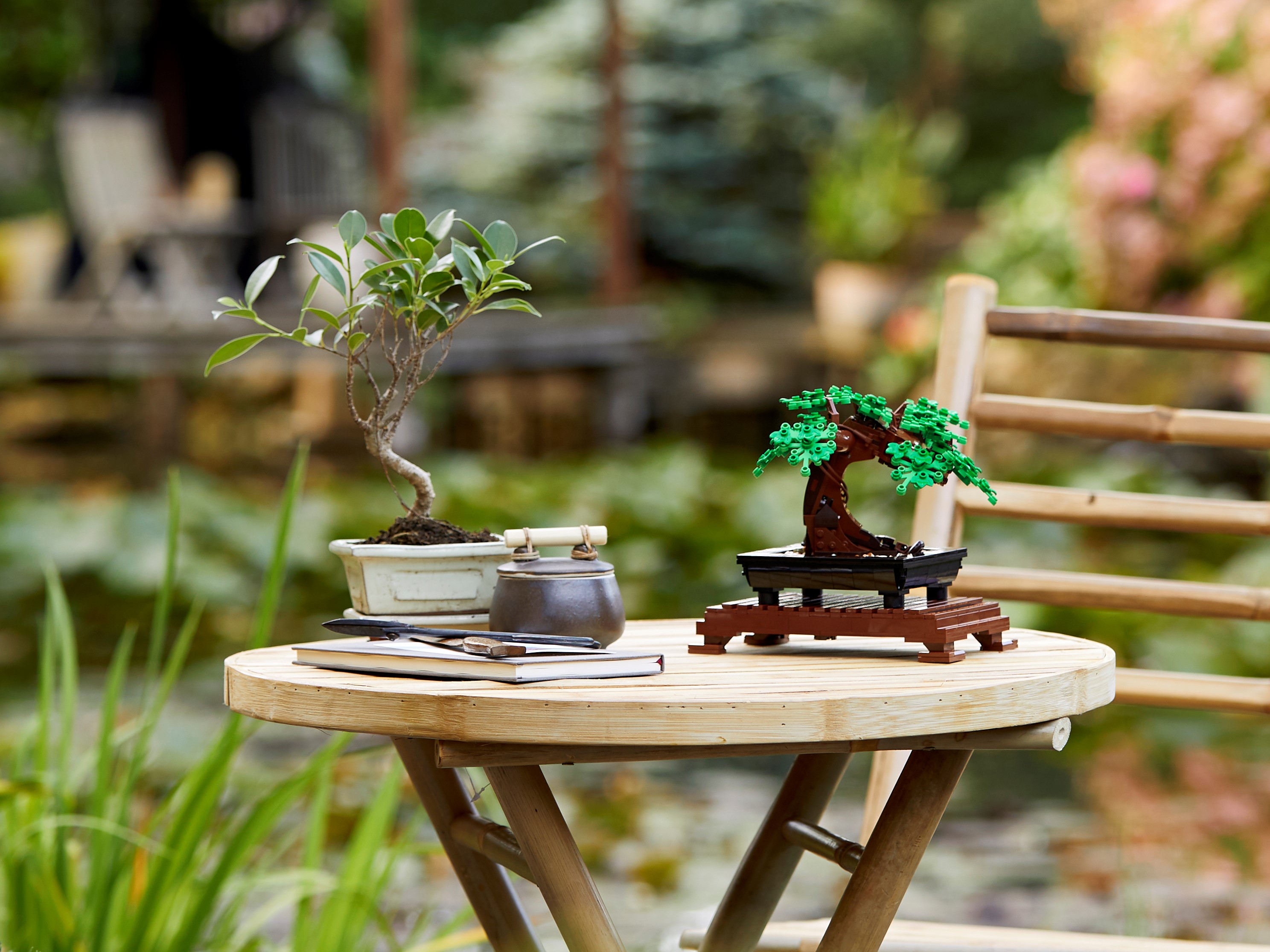 Bonsai Baum 10281