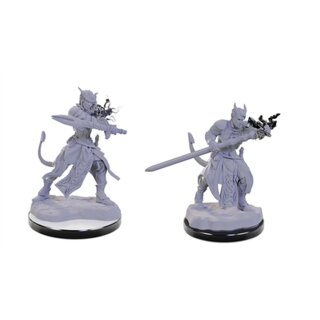 D&D Nolzur's Marvelous Miniatures: Tiefling Warlocks (2)