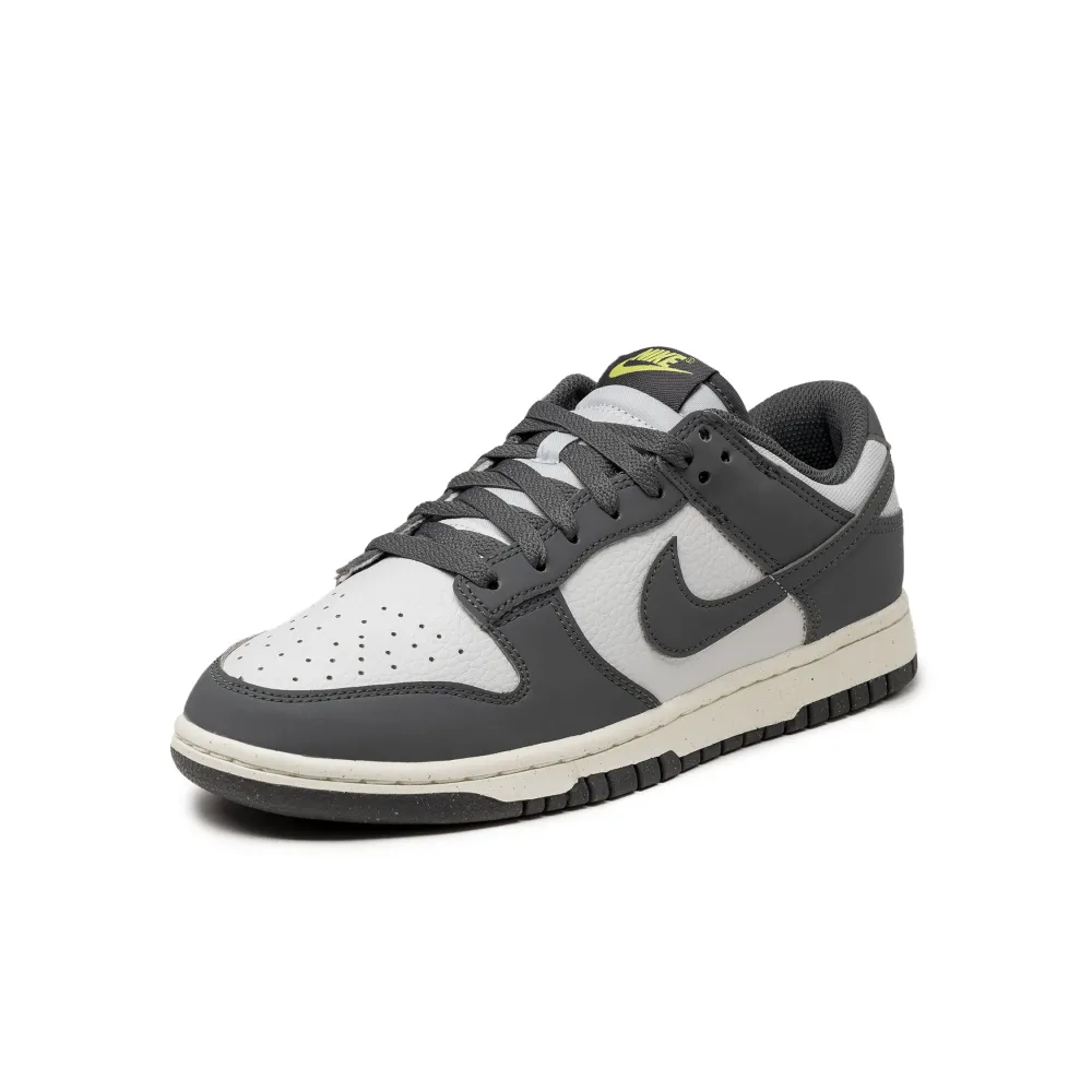 Nike Dunk Low Next Nature FZ4621-001 / grau