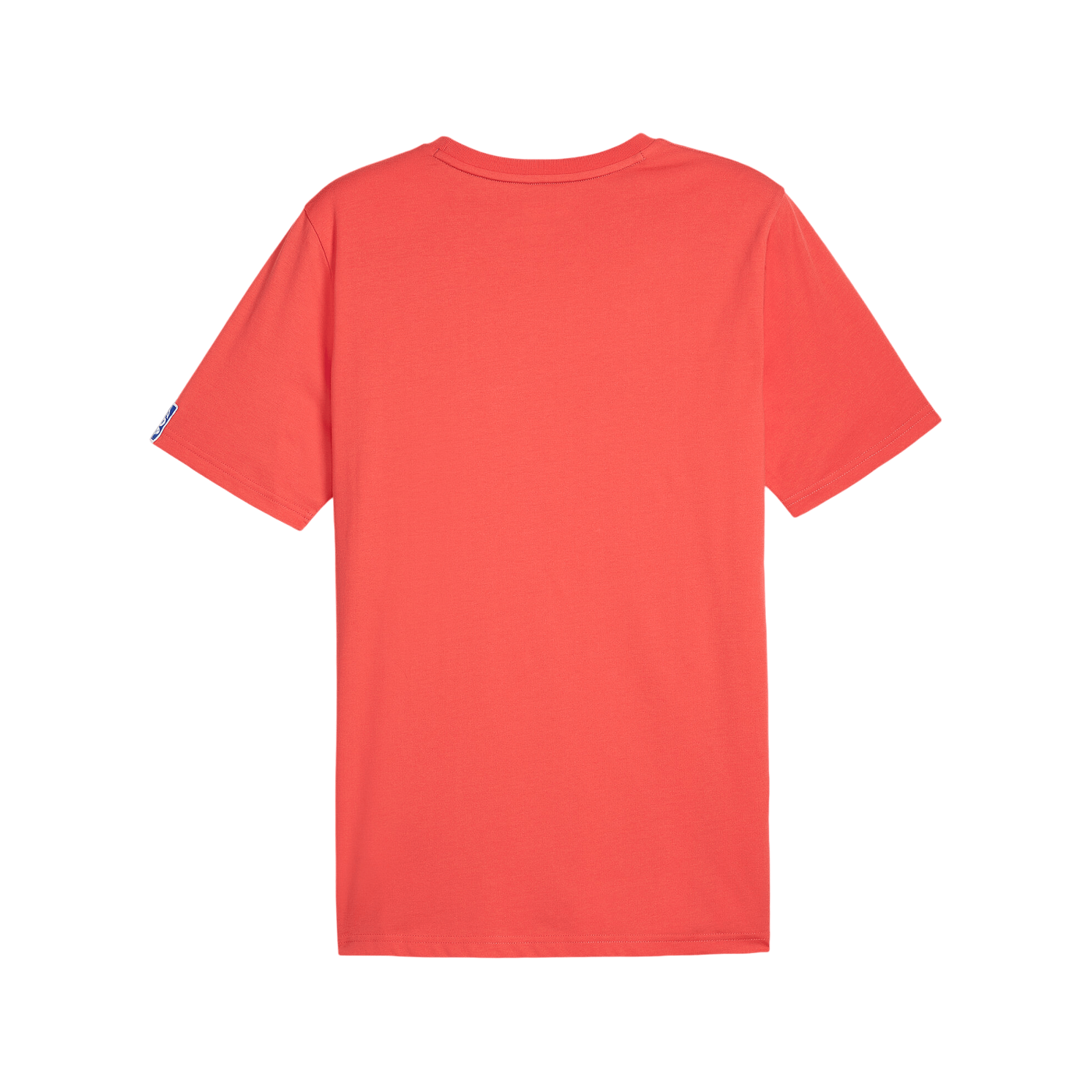 PUMA Handball T-Shirt Rot Braun F09