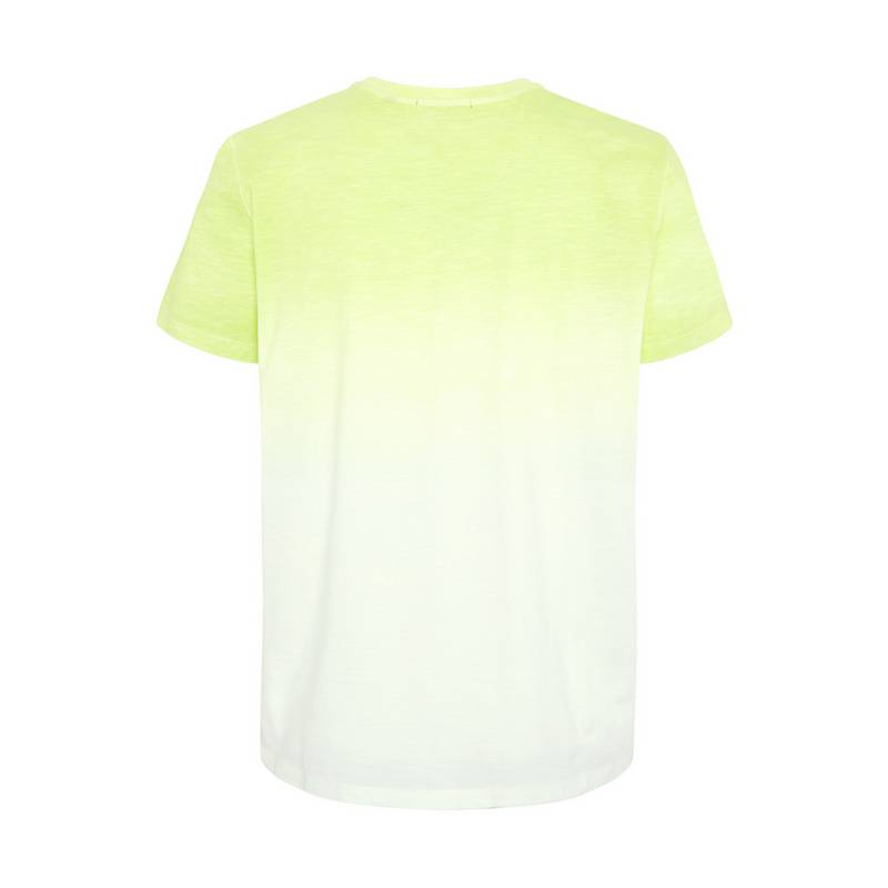 Chiemsee T-Shirt T-Shirt Herren