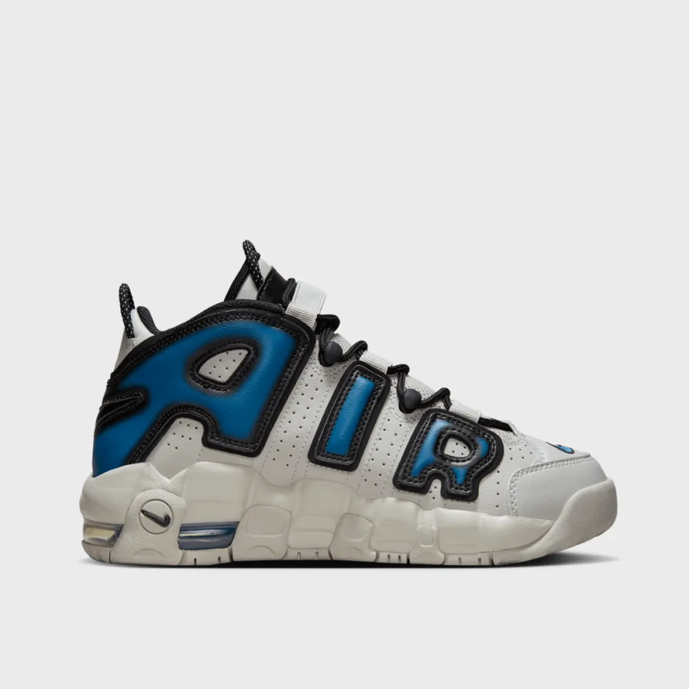 Nike Air More Uptempo FJ1387-001 / grau