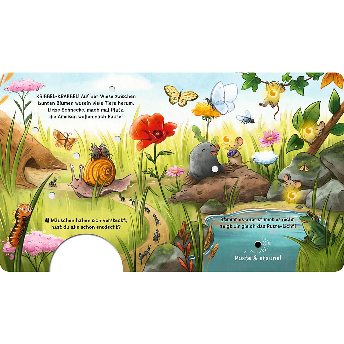 Mein Puste-Licht-Buch: 1,2,3,4 - wie viele Tiere siehst du hier
