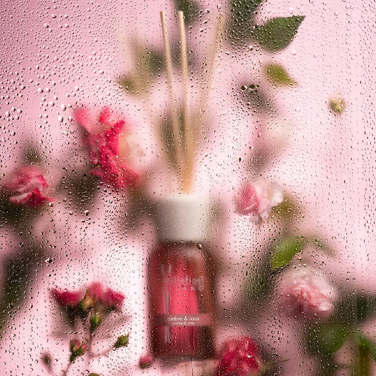 Millefiori Milano Amber & Rose - Difusor de fragancias