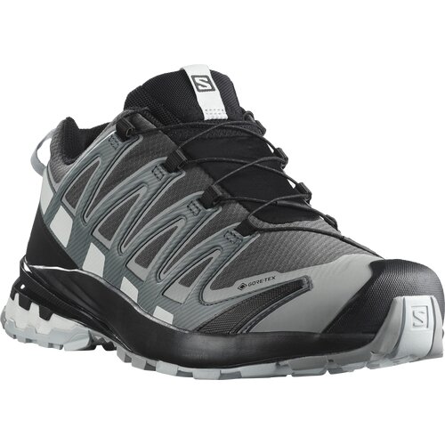 HERREN TRAILRUNNINGSCHUHE SHOES XA PRO 3D V8 GTX MAGNET/STOWEA/WHT