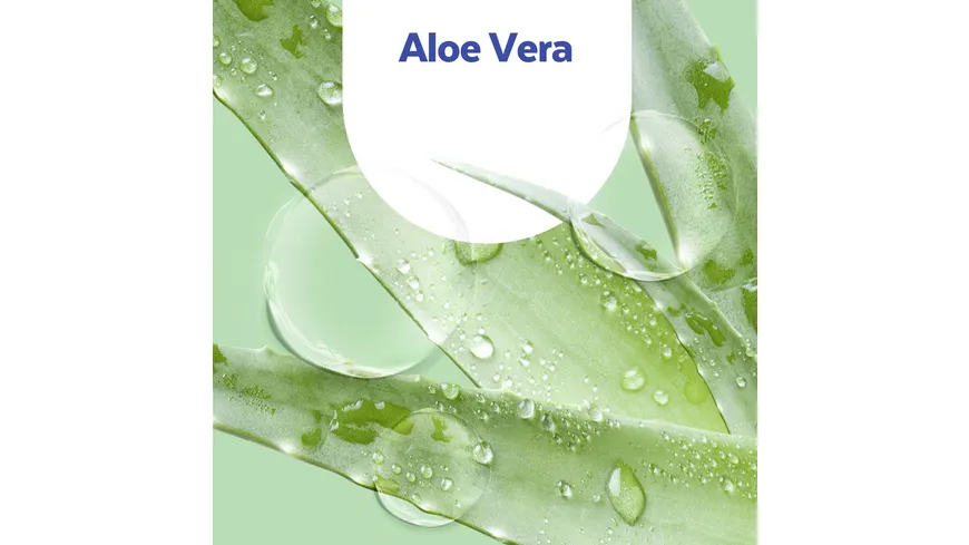 Sagrotan Handseife Aloe Vera 250ml 250 ml