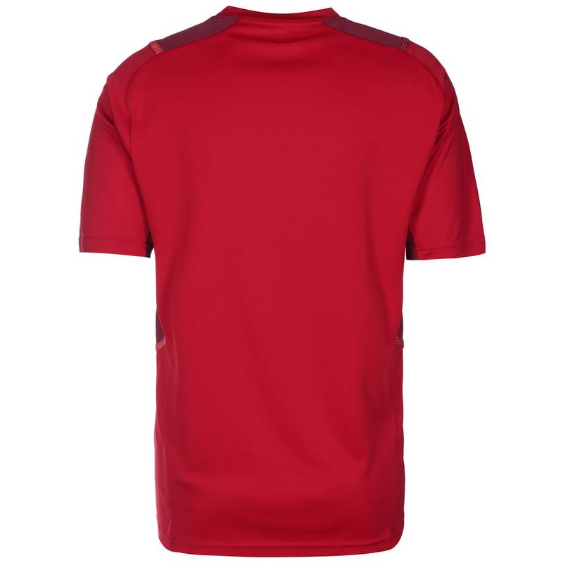 PUMA TeamCUP Funktionsshirt Herren