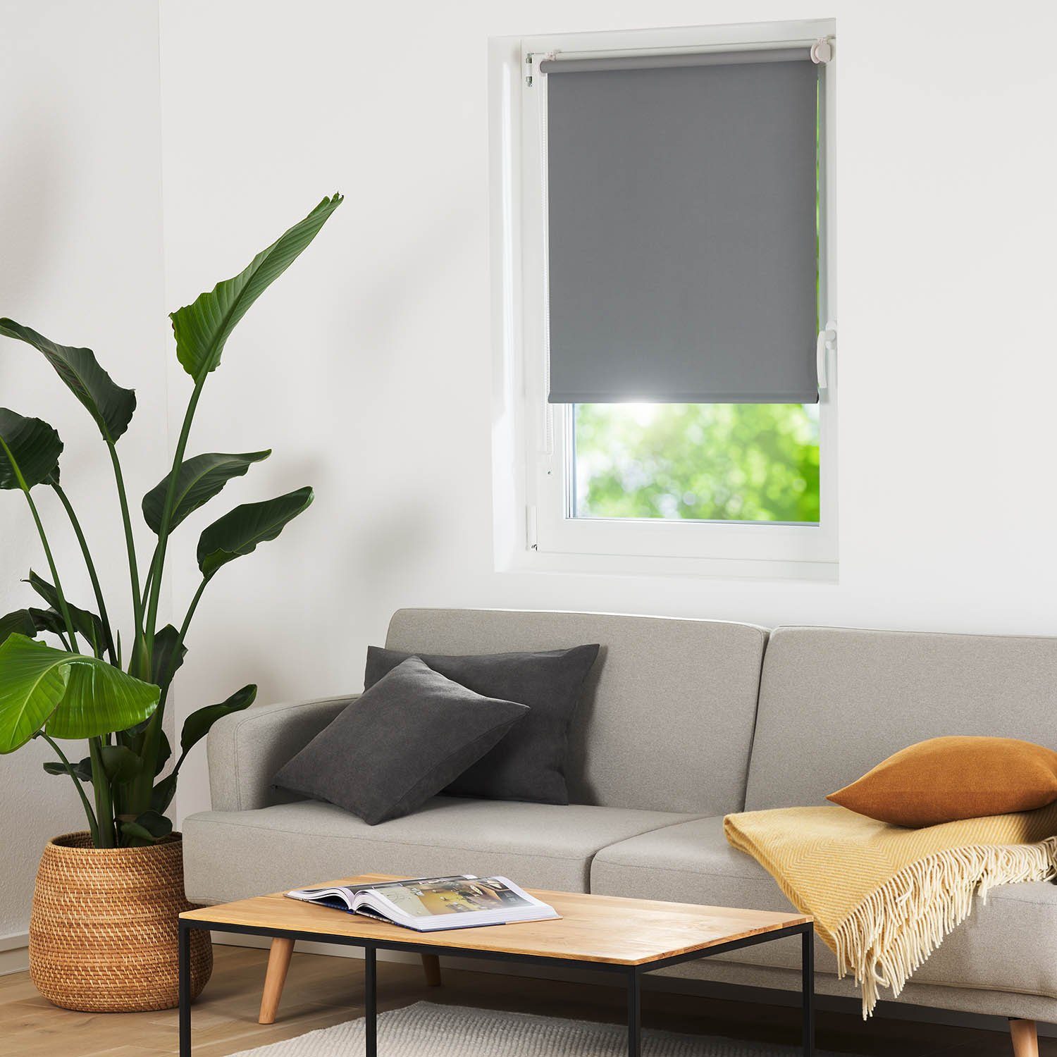 Doppelrollo Verdunklungsrollo - Klemmfix Rollo ohne Bohren, Blumtal, Lichtschutz, Freihängend, Klemmfix, Klemmrollo für Fenster und Tür