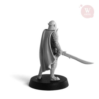 Warrior Elf