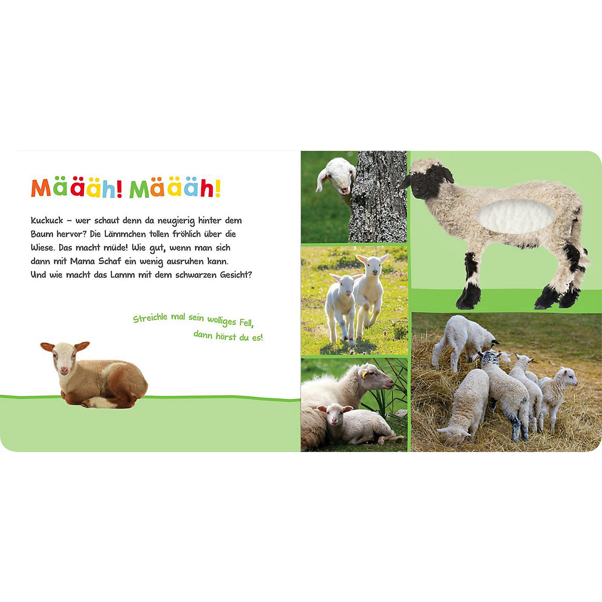 Hör mal rein, wer kann das sein - Im Frühling