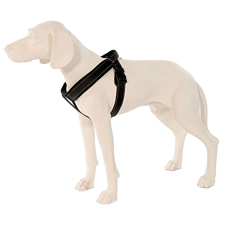 PatentoPet Sport Geschirr & Leine, schwarz