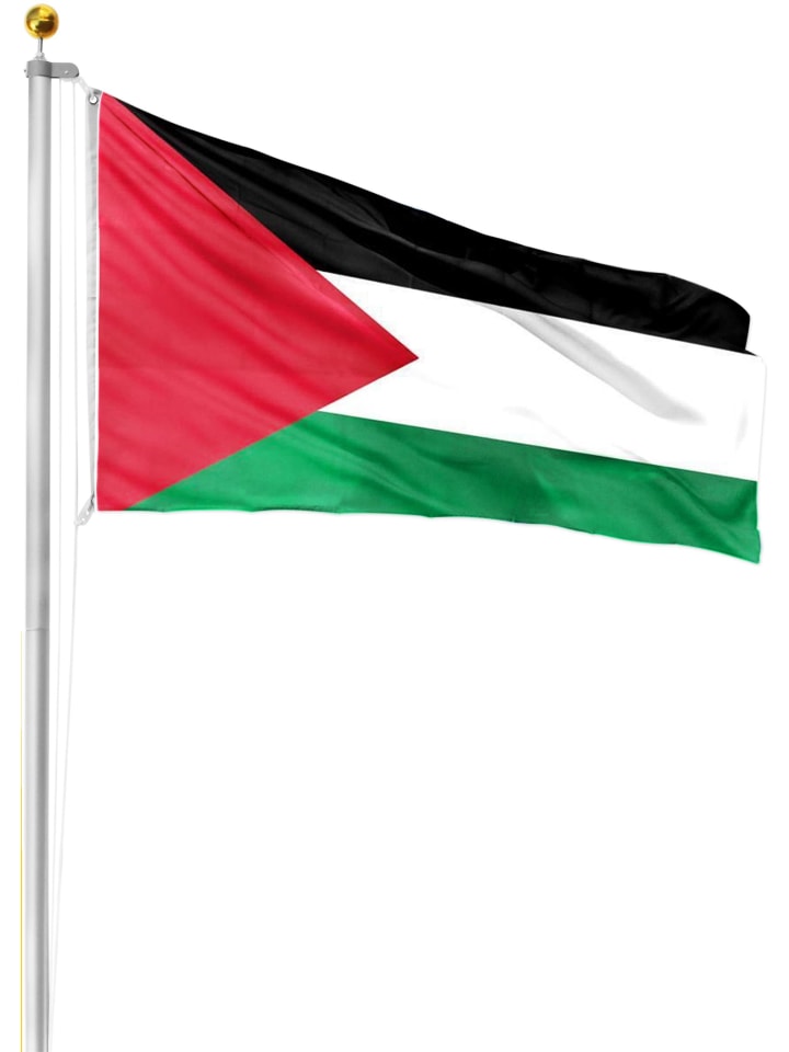 normani Fahne Länderflagge 150 cm x 250 cm in Palästina günstig kaufen 150x250-cm