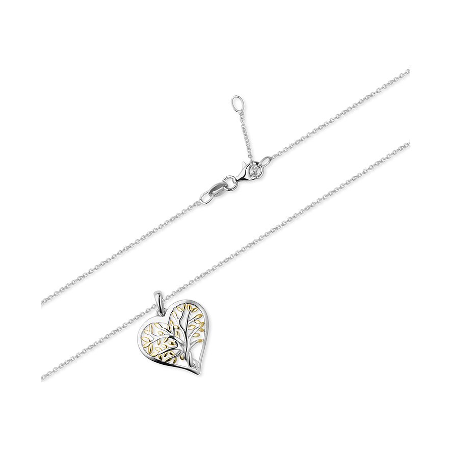 FAVS Kette